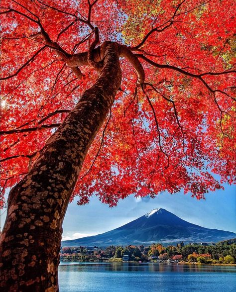 📷 by @jackmartinphotoart International Holidays, Mount Fuji, Oman, Beautiful Nature, Google Chat, Travel Destinations, Beautiful Places, Places To Visit, Lake