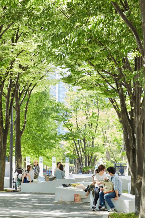 Grand Mall Park (Renewal project) ｜ STGK Inc. | Landscape Design – Creating a living human-scape Landscape Plaza, Linear Park, Pocket Park, Park Landscape, Landscape Plan, Landscape Architecture Design, Urban Park, Urban Furniture, Parking Design