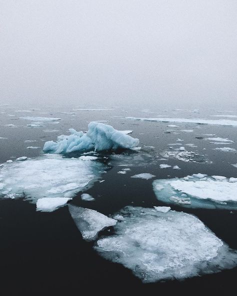 Dark Materials Aesthetic, His Dark Materials Aesthetic, Iorek Byrnison, Lyra Belacqua, Rain Pictures, Dark Materials, His Dark Materials, Arctic Ocean, Fantasy Story