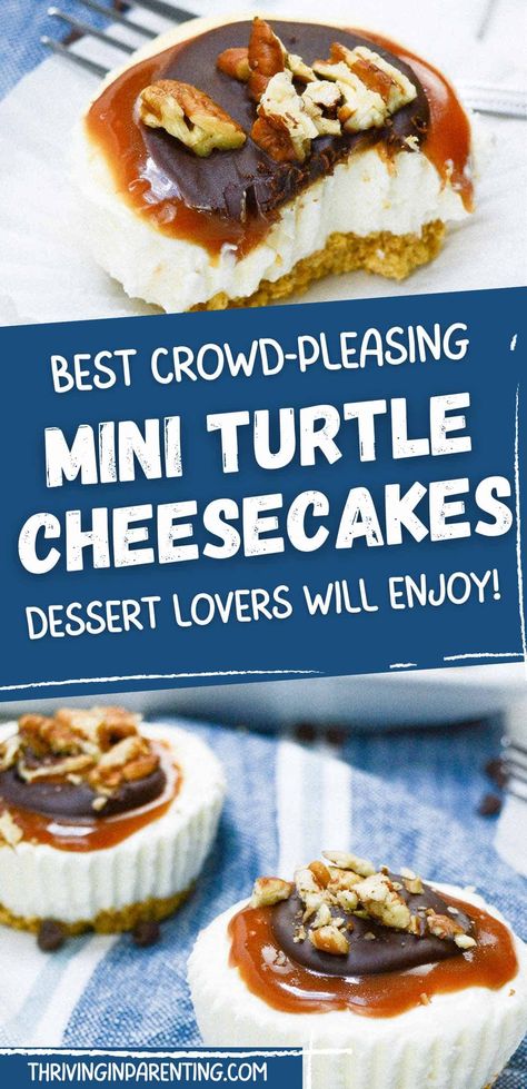 Mini Turtle Cheesecake, Turtle Cheesecake Recipe, Turtle Cheesecake Recipes, Finger Desserts, Mini Turtle, Turtle Cheesecake, Small Turtle, Homemade Jelly, Mini Turtles