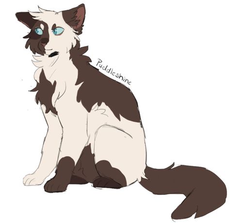 Warrior Cats Barley, Wc Oc, Warrior Cats Fan Art, Warrior Cat Oc, Cat Oc, Warriors Cats, Warrior Cats Art, Cats Art, Warrior Cat