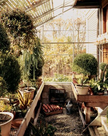 My First Greenhouse  This small 16-foot lean-to taught me a great deal about four-season gardening, and I ultimately added two more larger freestanding greenhouses. Attached Greenhouse, Homemade Greenhouse, Turkey Hill, Best Greenhouse, Home Greenhouse, Small Greenhouse, Greenhouse Plans, Passive Solar, Potting Sheds