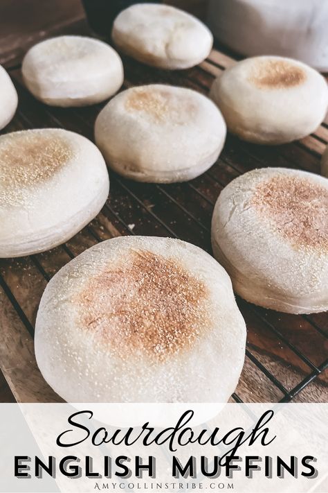 These easy sourdough English muffins are delicious and super simple to make! They are cooked right on your stove in a covered skillet in no time at all! English Muffin Sourdough Recipe, Sourdough English Muffin Bread, Sour Dough English Muffins, Sourdough Discard English Muffins, English Muffin Recipe, English Muffin Breakfast, Sourdough Muffins, Sourdough English Muffins, English Muffin Bread