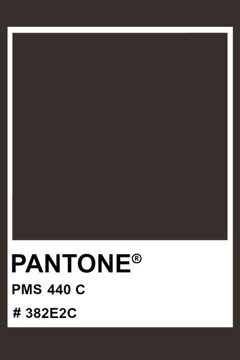 PANTONE 440 C #pantone #color #PMS #hex Pantone Shades, Dark Academia Color Palette, Dark Academia Color, Brown Pantone, Cool Summer Palette, Pantone Matching System, Pantone Colours, Pantone Color Chart, Pantone Colour Palettes