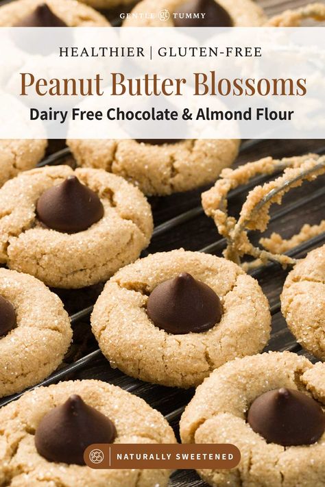 Gluten-Free Almond Flour Peanut Butter Blossom Cookies Blossom Cookies Recipe, Molding Chocolate, Best Gluten Free Cookies, Peanut Butter Blossom, Vegan Gluten Free Cookies, Grain Free Cookies, Dairy Free Frosting, Peanut Butter Blossom Cookies, Gluten Free Cookie Recipes