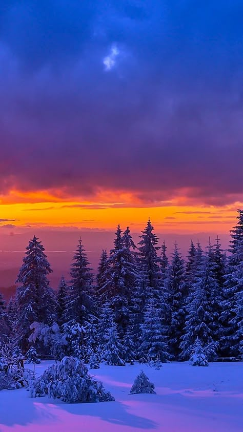 Winter Wonderland Wallpaper, Winter Landscape Photography, Wall Street Art, Qhd Wallpaper, Christmas Scenery, Beautiful Landscape Photography, Planets Wallpaper, Winter Sunset, Winter Pictures