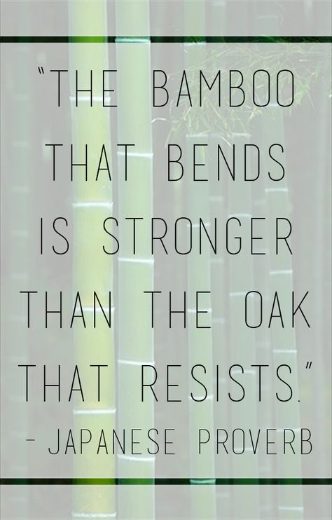 "The bamboo that bends is stronger than the oak that resists." - Japanese Proverb Wise Quotes About Life, Rascal Flatts, Proverbs Quotes, Quotable Quotes, Wise Quotes, Great Quotes, Wisdom Quotes, Proverbs, Positive Affirmations