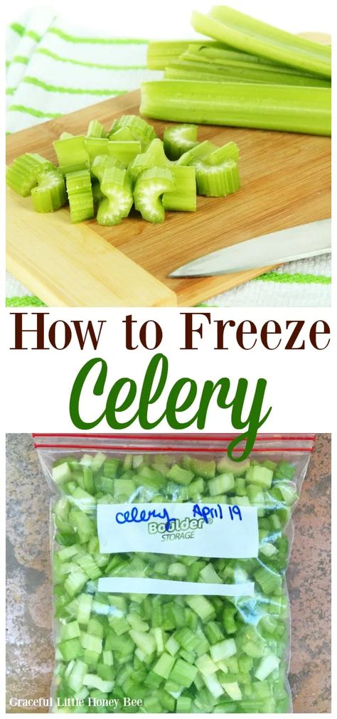 Freeze Celery, How To Freeze Celery, Freezing Food Guide, Freezing Fruit, Freezing Vegetables, Nutella Fudge, Nutella Brownies, Freezer Meal Prep, Keto Brownies