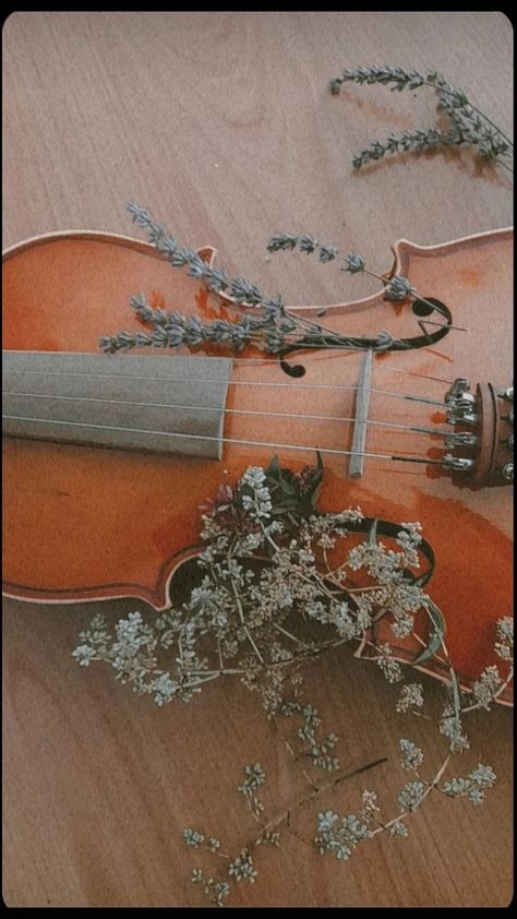 Cello Aesthetic Wallpaper, Cello Wallpapers, Colleen Core, Violin With Flowers, Violin Photoshoot, Cello Aesthetic, Orchestra Aesthetic, Violin Aesthetic, Violin Pics