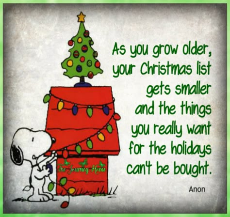 true story... Charlie Brown Quotes Christmas, Charlie Brown Christmas Quotes, Merry Christmas Charlie Brown, Charlie Brown Quotes, Xmas Quotes, A Charlie Brown Christmas, Days Quotes, Patience Quotes, Barbie Quotes