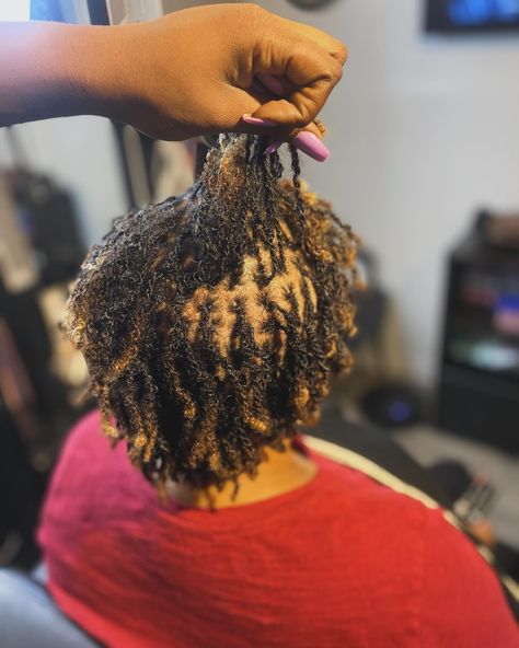 ✨First Retie on Micro Locs after the wash #natural #locsjourney #sisterlocs #microlocs #microlocks🍁locd #microlockswant #locjourney #naturalhairstyles #loclivin #loclove #microlocs #retie #microlocretie Microlocs Retie, Micro Locs, Sister Locs, Locs Hairstyles, March 30, Fort Lauderdale, Locs, Fort, Natural Hair Styles