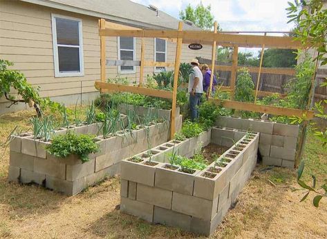 Raised Garden Beds Concrete Blocks, Raised Garden Bed Cinder Block, Breeze Block Planters Raised Garden Beds, Cinder Block Raised Garden Bed Ideas, Cinder Block Planter Boxes, Landscaping With Cinder Blocks, Cinder Block And Wood Raised Garden Bed, Tall Raised Garden Beds Diy, Raised Garden Bed On Slope