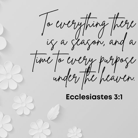 As we step into a new month, let's cherish the timeless wisdom of Ecclesiastes 3:1: 📖 "To everything there is a season, and a time to every purpose under the heaven." Here’s to a month filled with family, love, and laughter—embracing each day with purpose and gratitude! 👨‍👩‍👧‍👦 #FamilyFirst #HelloMay #cherisheverymoment #faithculture #bibleverse #May #christian #faith Ecclesiastes 3 11 Tattoo, Mickey Tattoos, Mickey Tattoo, Biblical Quotes Inspirational, Ecclesiastes 3 11, Ecclesiastes 3, Cherish Every Moment, Hello May, 1 Tattoo