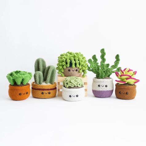 Succulent Crochet Pattern: How do Make - Crochet Today Succulent Pattern, Crochet Succulent, Crochet Cactus, Pola Amigurumi, Crochet Plant, Crochet Vintage, Beginner Crochet Projects, Quick Crochet, Fun Crochet Projects