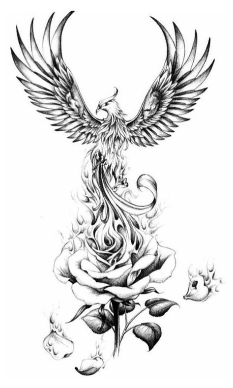 Phoenix Tattoo Sleeve, Tato Phoenix, Small Phoenix Tattoos, Phoenix Tattoo Feminine, Dragon Tattoo Sketch, Phoenix Bird Tattoos, Phoenix Tattoo Design, Inspiration Tattoos, Geniale Tattoos