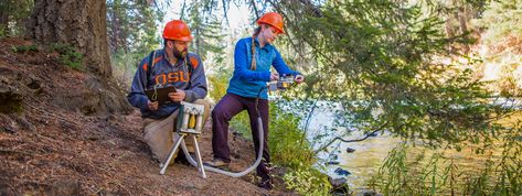 Master of Science in Environmental Sciences | Graduate School | Oregon State University Scientific Process, Environmental Analysis, Science Area, Project Report, New Knowledge, Environmental Research, Agricultural Science, Oregon State University, Workers Rights