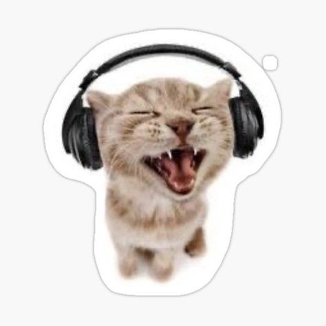 Kitten With Headphones, Headphones Sticker, Headphones, For Sale, Music