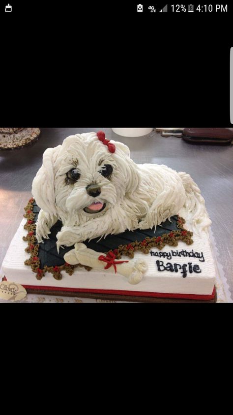 3-d Maltese dog cake Cake Dog, Cake Celebration, Maltese Dog, Dog Cake, Maltese Dogs, Dog Pin, Celebration Cakes, Maltese, Pin Collection