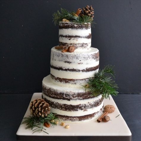 Tiny Sarah's Cakes for Sugarplum Cake Shop - Naked winter wedding cake - Gâteau de mariage d'hiver - inspiration Cake Types, Christmas Wedding Cakes, Christmas Wedding Favors, Rustic Winter Wedding, Winter Wedding Cake, Wedding Cake Rustic, Types Of Cakes, Wedding Winter