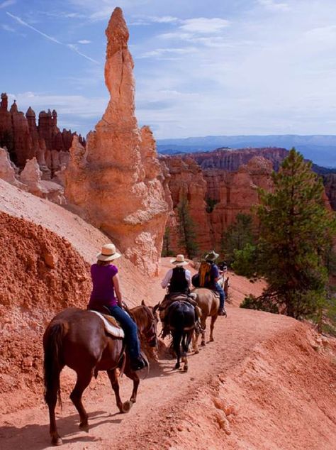 Experience a side of Bryce Canyon National Park few others get to, take a horseback tour of the area and see what you've been missing! Basic Excel, Bryce National Park, Trip To Grand Canyon, Utah Travel, Bryce Canyon National Park, Arizona Travel, Utah National Parks, Grand Canyon National Park, Bryce Canyon