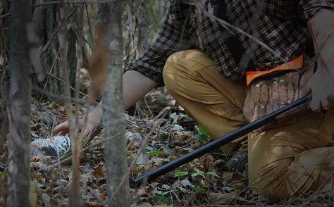 Grouse and woodcock hunting tips Upland Hunting Gear, American Woodcock, Grouse Hunting, Upland Bird Hunting, Ruffed Grouse, Hunting Stuff, Upland Hunting, Game Hunting, Forest Habitat