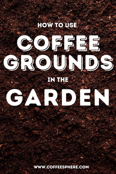 Ever thought about how much coffee grounds you accumulate and ultimately dispose of? Especially if you brew coffee every day? Don’t let it go to waste! Here’s how to use coffee grounds in the garden. Uses For Used Coffee Grounds, Ways To Use Coffee Grounds, How To Flavor Coffee Grounds, Used Coffee Grounds Uses Garden, How To Save Coffee Grounds For Garden, Coffee Grounds In The Garden, Coffee Questions, Ways To Make Coffee, Uses For Coffee Grounds