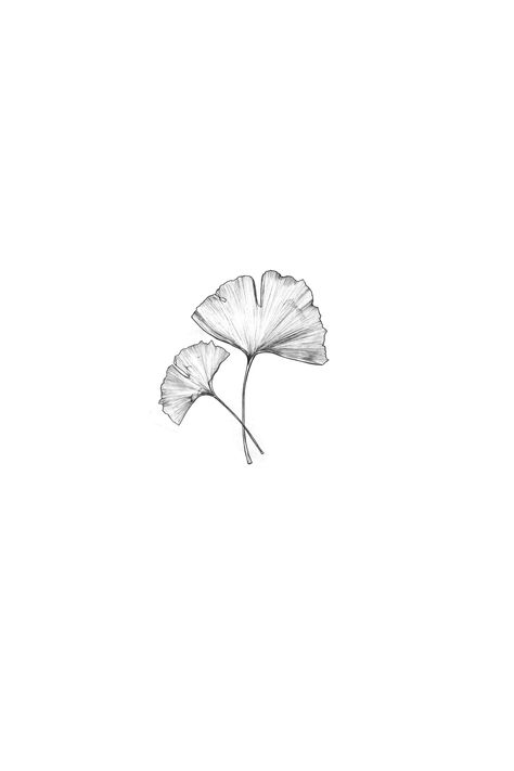 Ginko Leaf Tattoo Minimalist, Ginko Leaf Tattoos Design, Ginkgo Tattoo Minimal, Ginko Biloba Tattoo, Bonsai Tattoo Minimalist, Gingko Leaves Drawing, Ginko Leaves Tattoos, Ginko Leaf Design, Ginko Leaf Tattoo