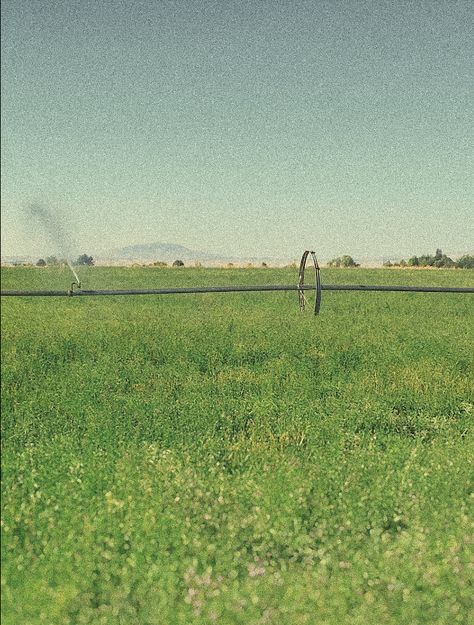 #background #wallpaper #field #aesthetic #tiktok #wallpaperforyourphone #sprinkler #flowerfields #grainy #effects #sunrise #vibesandfeels #summerstyle #summer Sprinklers Aesthetic, Sprinkler Aesthetic, Grainy Background Aesthetic, Field Aesthetic, Field Wallpaper, Sprinklers, Aesthetic Tiktok, Taylor Swift Songs, Wallpaper For Your Phone