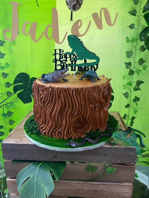 Rainforest Cake Birthday, Reptile Birthday Cake, Reptile Cake, Alligator Birthday Parties, Alligator Birthday, Snake Party, Reptile Party, Living Fossil, Log Cake