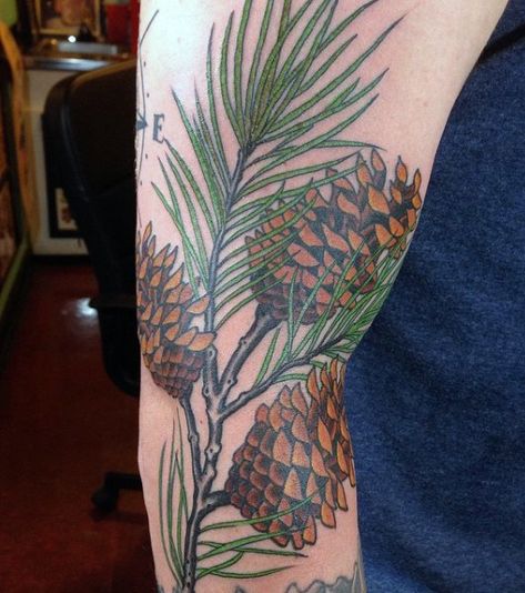 Masculine Pine Tree Branch And Cones Tattoos For Men Tree Tattoo Leg, Pinecone Tattoo, Pine Tattoo, Tree Branch Tattoo, Tattoo Journal, Tree Tattoo Arm, Vogel Silhouette, Simple Tats, Tattoo Tree