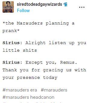 Marauders Era Fan Art Regulus, Remus And Regulus Friendship, Remus Lupin Fan Art Marauders Era, Sirius X Remus Fan Art, Marauders Era Fan Art, The Marauders Fan Art, Remus Lupin Fan Art, Sirius X, Remus And Sirius