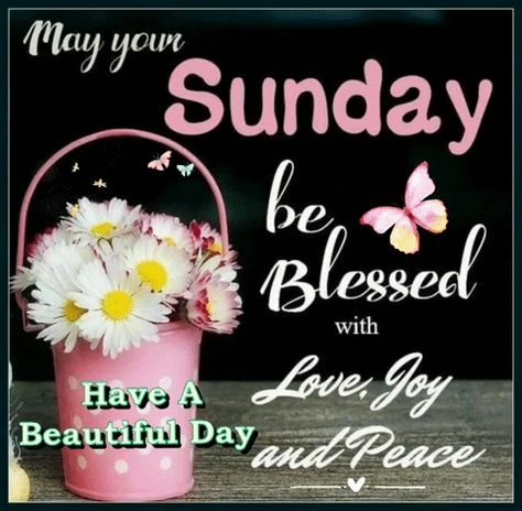 Sunday Wishes Images, Good Morning Sunday Pictures, Blessings Gif, Happy Sunday Photos, Sunday Morning Images, Sunday Gif, Sunday Morning Wishes, Blessed Sunday Morning, A Blessed Sunday