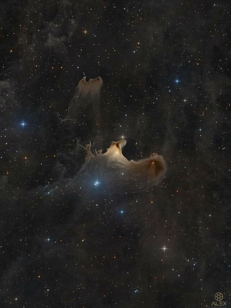 VdB 141 or Sh2-136 – Ghost Nebula I guess everyone can imagine why this reflection nebula is called the "ghost nebula". This object is 1.200 light years far from earth and has a diameter of 2 light years. The dust and gas in this area producing lots of new proton stars. It can be found in the constellation "Cepheus". The frames has been stacked in AstroPixelProcessor also the RGB combine and light pollution removal. After that some stuff in PixInsight (BlurXTerminator) and the finalization i Ghost Nebula, Moon Bedroom, Aesthetic Lights, Light Pollution, Light Year, The Ghost, Bedroom Inspo, Pollution, Constellations