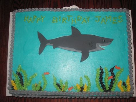 Shark Birthday Sheet Cake, Shark Sheet Cake, Sheet Cake Chocolate, Fondant Shark, Birthday Sheet Cake, Shark Birthday Cakes, Birthday Sheet Cakes, Birthday Boys, Kids Cakes