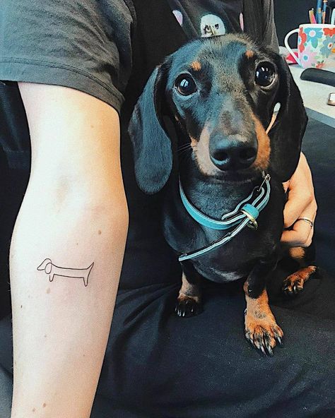 Dachshund World!® on Instagram: “@minidasheric - Love forever ❤🐶” Doxie Tattoo, Daschund Tattoo, Picasso Dachshund, Dachshund Black And Tan, Dachshund Facts, Tan Dachshund, Dachshund Tattoo, Black And Tan Dachshund, Dog Outline