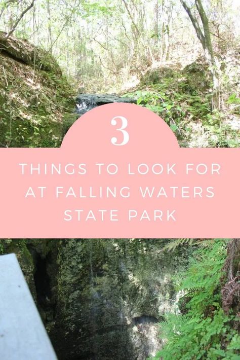 3 things to look for at Falling Waters State Park in Chipley, Florida | Finding Mandee Chipley Florida, Falling Waters, Northwest Florida, Florida State Parks, Falling Water, Fall River, River Falls, Spring Trip, State Of Florida