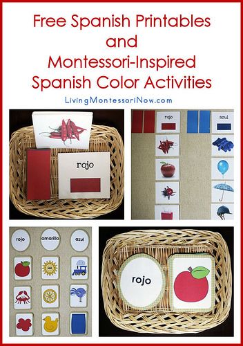 Spanish Color Activities, Spanish Activities For Kids, Free Spanish Printables, Vehicle Activities, Spanish Printables, Preschool Spanish, Spanish Colors, Spanish Curriculum, Homeschool Spanish