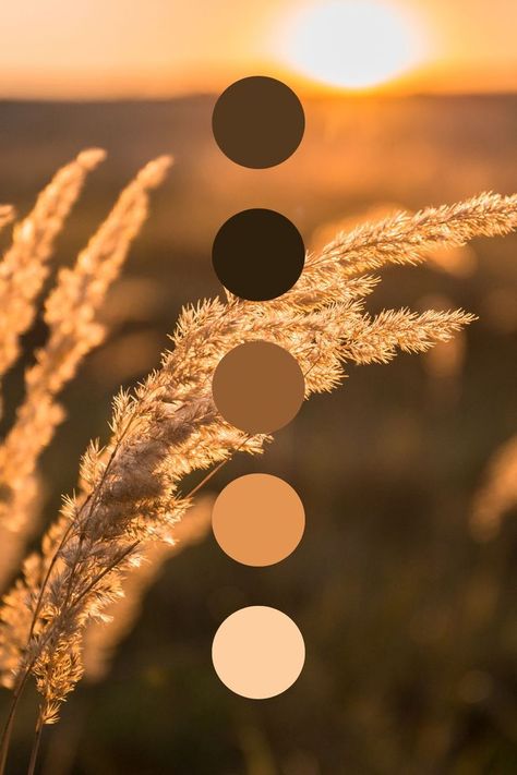 Color palette neutral brown colors nature Color Branding, Soft Autumn Color Palette, Flat Color Palette, Moodboard Inspiration, Pantone Colour Palettes, Color Palette Challenge, Paint Color Inspiration, Color Drawing, Color Meanings