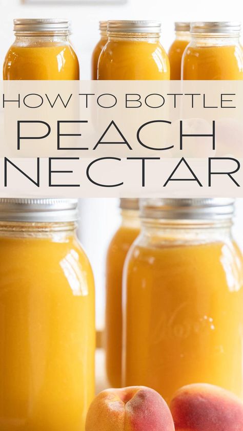 How to make and bottle fresh peach nectar. This is an great item to have in your pantry. It tastes like fresh peaches and is so smooth. Peach Nectar Recipe, Canning Peaches, Canned Juice, Canning Kitchen, Peach Drinks, Peach Nectar, Peach Syrup, Lemon Potatoes, Canned Fruit