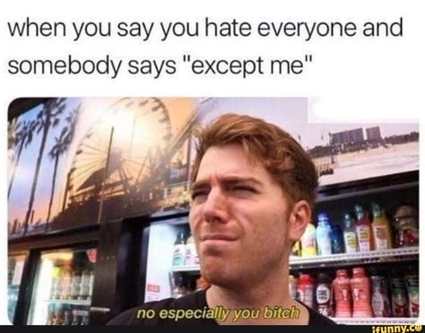 Shane Dawson Memes, Celebrity Memes, Hate Everyone, Shane Dawson, Hilarious Memes, School Memes, Fresh Memes, Memes Humor, Seinfeld