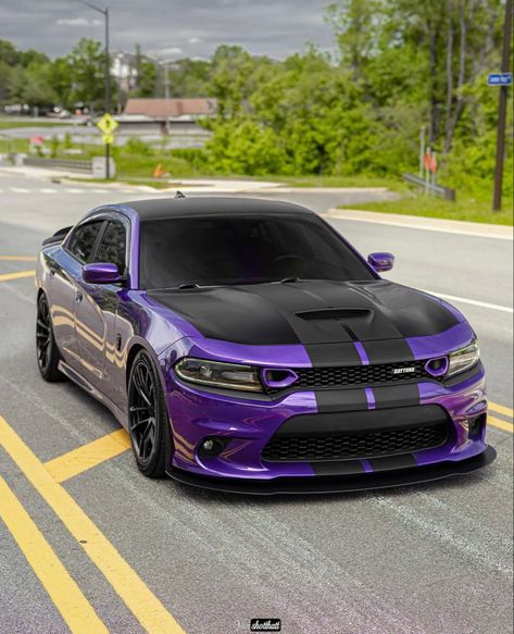 Dodge Charger, Dodge, Road, Purple, Black