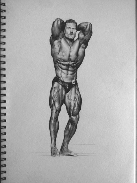 Body Builder Art Reference, Bodybuilder Drawing Reference, Man Physique Sketch, Bodybuilder Sketch, Bodybuilder Drawing Sketch, Bodybuilder Cartoon, David Laid, Arnold Bodybuilding, Chris Bumstead