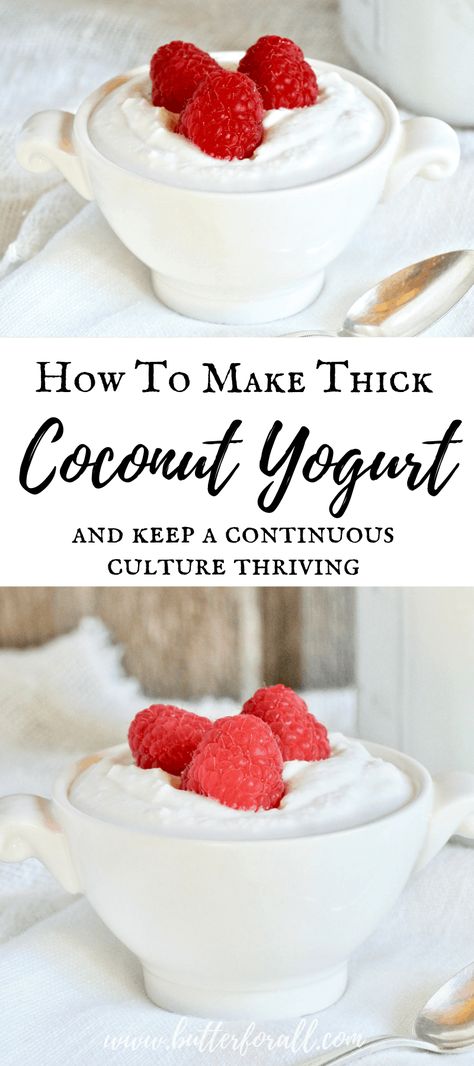 Coconut Yogurt Recipe, Coconut Milk Yogurt, Coconut Dessert, Dairy Free Yogurt, Probiotic Foods, Vegan Yogurt, Homemade Yogurt, Yogurt Recipes, Coconut Yogurt