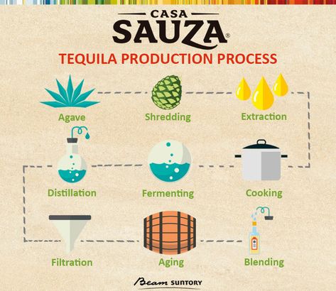 Tequila making process infographic How To Make Tequila, Mezcal Tequila, Purple Cocktails, Reposado Tequila, Fresh Cheese, Bourbon Cocktails, Rum Cocktail, Tequila Cocktails, Agaves