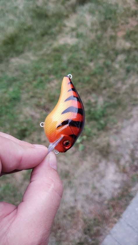 Wobbler Design, Airbrush Painting, Candy Paint, Fishing Bobber, Lure Making, Air Brush Painting, Fish Painting, Bass Fishing, Fishing Lures