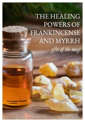 We all know the Bible story about the Three Wise Men bringing Baby Jesus gold, frankincense, and myrrh. These Magi were known as healers, and thousands of years later, frankincense and myrrh essential oils have a myriad of healing powers. Are you using these oils to their healing potential? Frankincense Essential Oil Benefits, Frankincense Essential Oil Uses, Gold Frankincense And Myrrh, The Three Wise Men, Myrrh Oil, Myrrh Essential Oil, Frankincense And Myrrh, Essential Oil Blends Recipes, Health Ideas