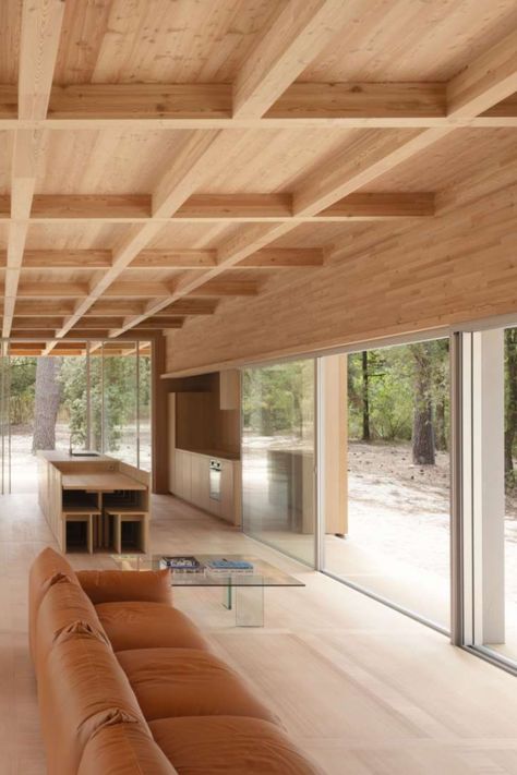 Timber Interior Design, Mass Timber Interior, Clt Details Architecture, Clt Timber Architecture, Clt Structure, Wooden Villa, Timber Interior, Mass Timber Architecture, Minimalist Coastal