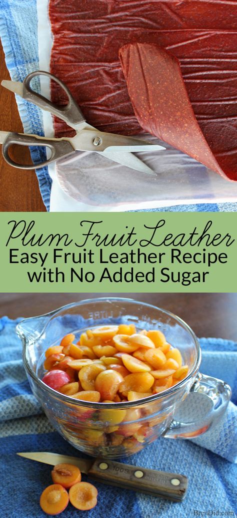 Plum Leather Recipe, Plum Fruit Leather Recipe Dehydrator, Nectarine Fruit Leather Recipe, Dehydrated Plums In Dehydrator, What To Do With Lots Of Plums, Plum Baking Recipes, Recipe With Plums, Wild Plum Recipes, Dehydrated Plums