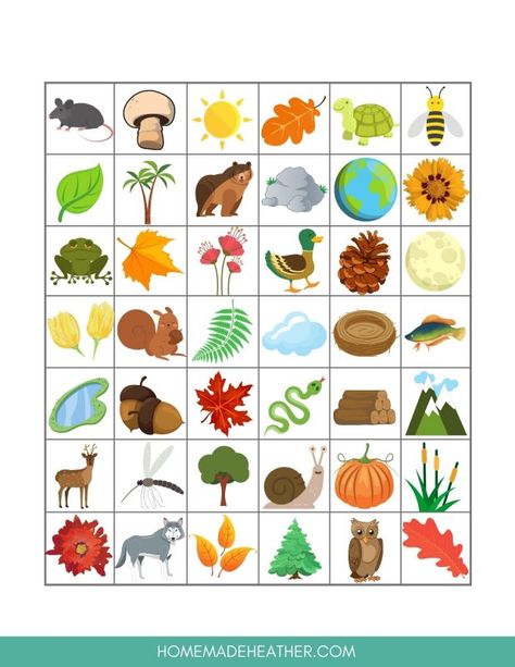 printable nature bingo calling card Nature Bingo Printable Free, Nature Bingo, Cottages Ideas, Bingo Printable Free, Creative Curriculum Preschool, Bingo Books, Free Printable Bingo Cards, Bingo Games For Kids, Free Bingo Cards