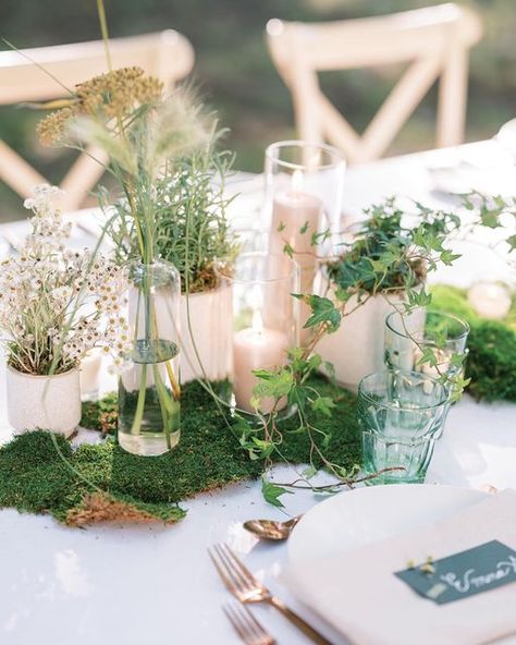 Mixed Potted Plants, Lover Wedding, Wedding Plants, Power Plate, Lovers Photos, Wedding Arbour, Michigan Wedding Photographer, Interior Garden, Michigan Wedding